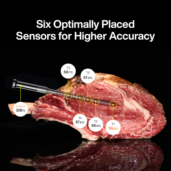 Typhur Grillthermometer SYNC Gold Quad - 4 Thermometer